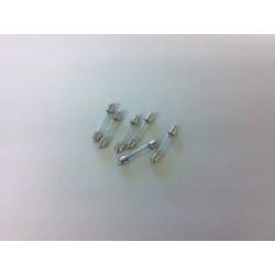 An image of Rose Lamp Bulb