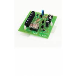 An image of Delayed Release Module