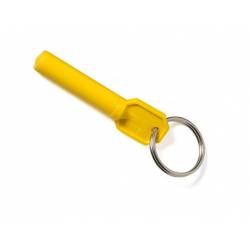 An image of Magnetic Key