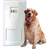 An image of iWISE 11m pet immune DT detector G2